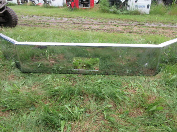 INTERNATIONAL EAGLE BUMPER