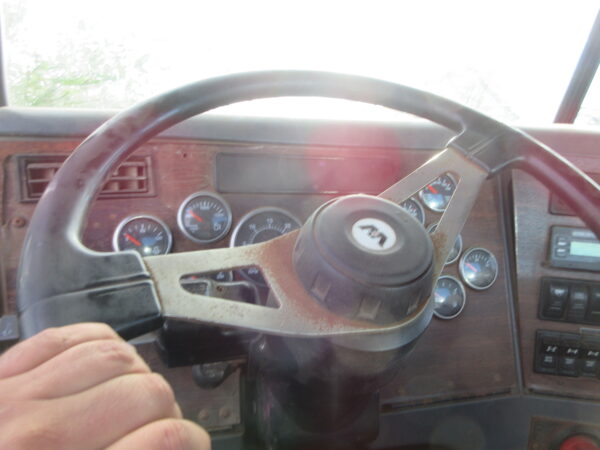 2006 WESTERN STAR 4900SA - Image 20