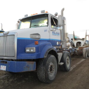 2006 WESTERN STAR 4900SA